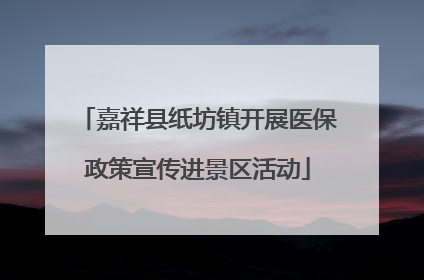 嘉祥县纸坊镇开展医保政策宣传进景区活动